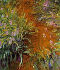 Irises Canvas Paintings - The Path through the Irises